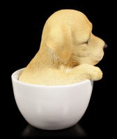 Hunde Figur - Labrador Welpe in Tasse