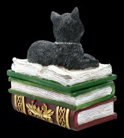Schatulle - Katze auf grünen Büchern