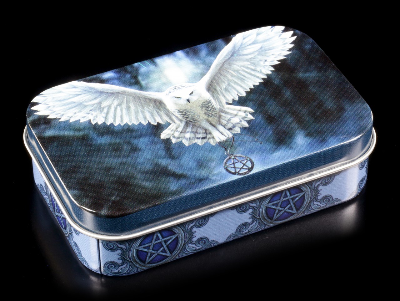 Metal Box with Owl - Awaken your Magic by Anne Stokes