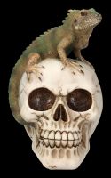 Skull with Iguana