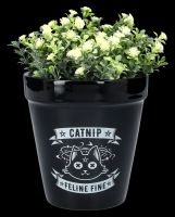 Flowerpot Gothic - Catnip