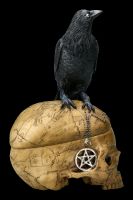 Skull Box with Crow - Salems Familiar