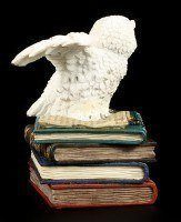 Magic Box - Owl with Books