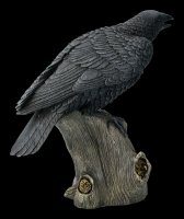 Große schwarze Raben Figur - Ravens Cry
