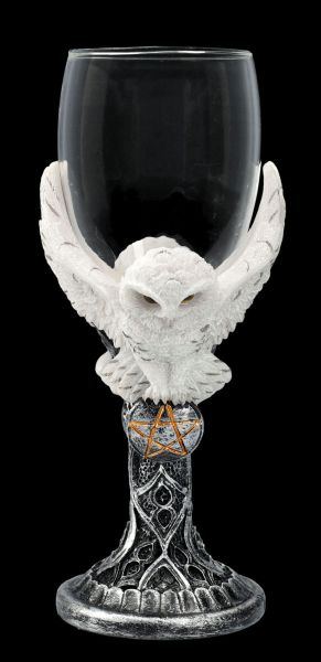Glass - Snowy Owl with Pentagram