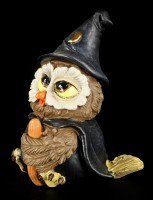 Magician Owl - Funny Figurine