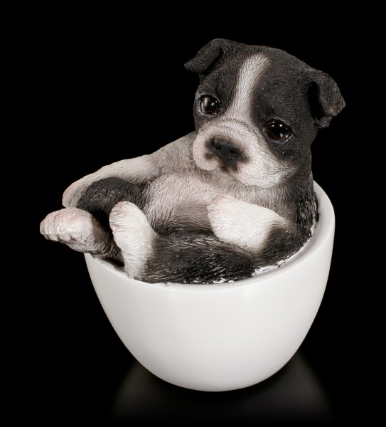 Französische Bulldogge Welpe in Tasse Süßes Hundebaby Deko Hunde Figur mini 