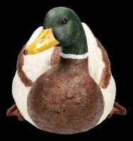 Gardening Figurine Duck - Mallard Drake Lying