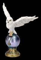 Owl Figurine with Pentagram Necklace - Magick Flight
