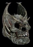 Dragon on Skull - Draco Skull