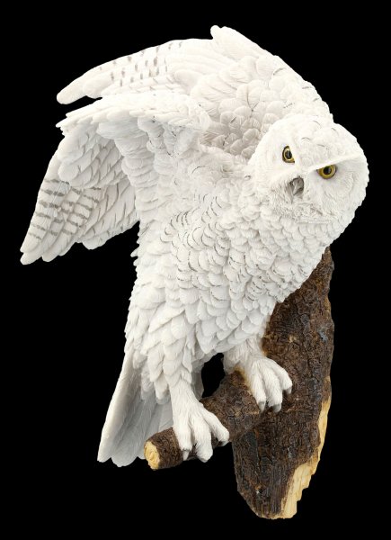 Wall Plaque - Snow Owl sitting on Perch