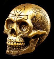 Egyptian Skull - gold colored