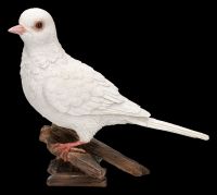 Garden Figurine - White Dove - Diamond Dove
