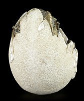 Dinosaur Egg - Hatching