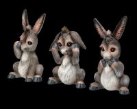 Three Funny Donkey Figurines - No Evil