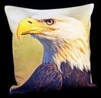 Cushion Cover - Bald Eagle