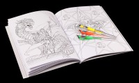 Fantasy Art Colouring Book - Anne Stokes