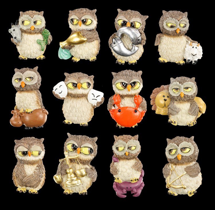 Owl Magnets - Zodiac Signs Set of 12