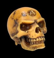Totenkopf mini - Lapillus Worry Skull