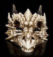 Dragon Skull - Dragon Skeleton