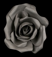 Schwarze Rosenblüte klein