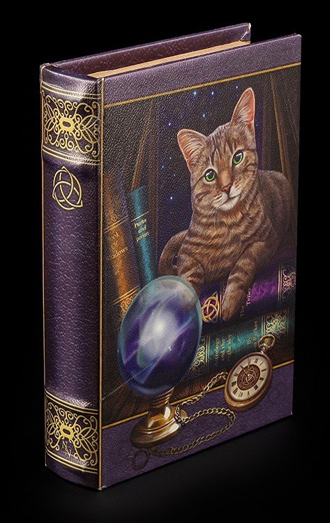 Buch Schatulle - Magische Katze