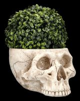 Skull Plant Pot Bone Coloured large
