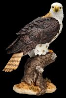 Adler Figur - Ruhe vor der Jagd