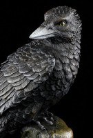 Raven III