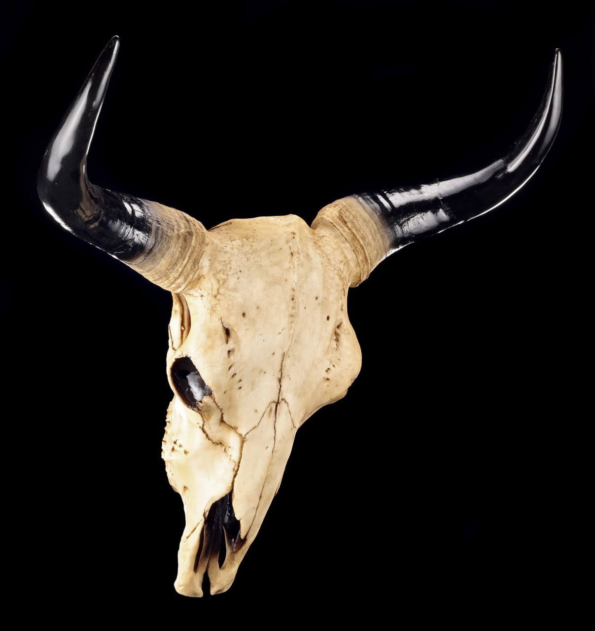 Großer Totenkopf - Bison Schädel zum Hängen