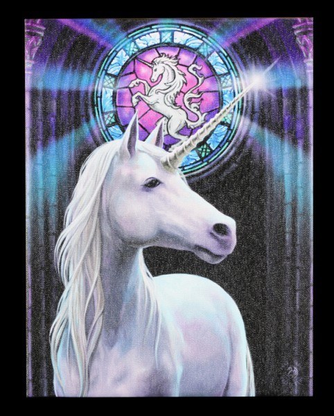 Small Canvas - Enlightenment by Anne Stokes
