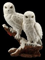 Snow Owl Couple on Tree Branch