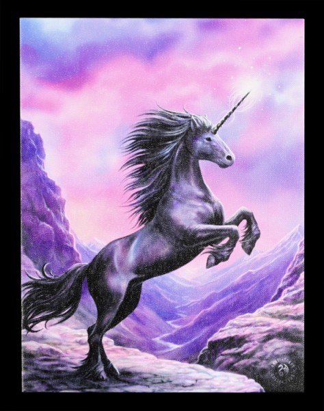 Small Canvas - Black Unicorn by Anne Stokes