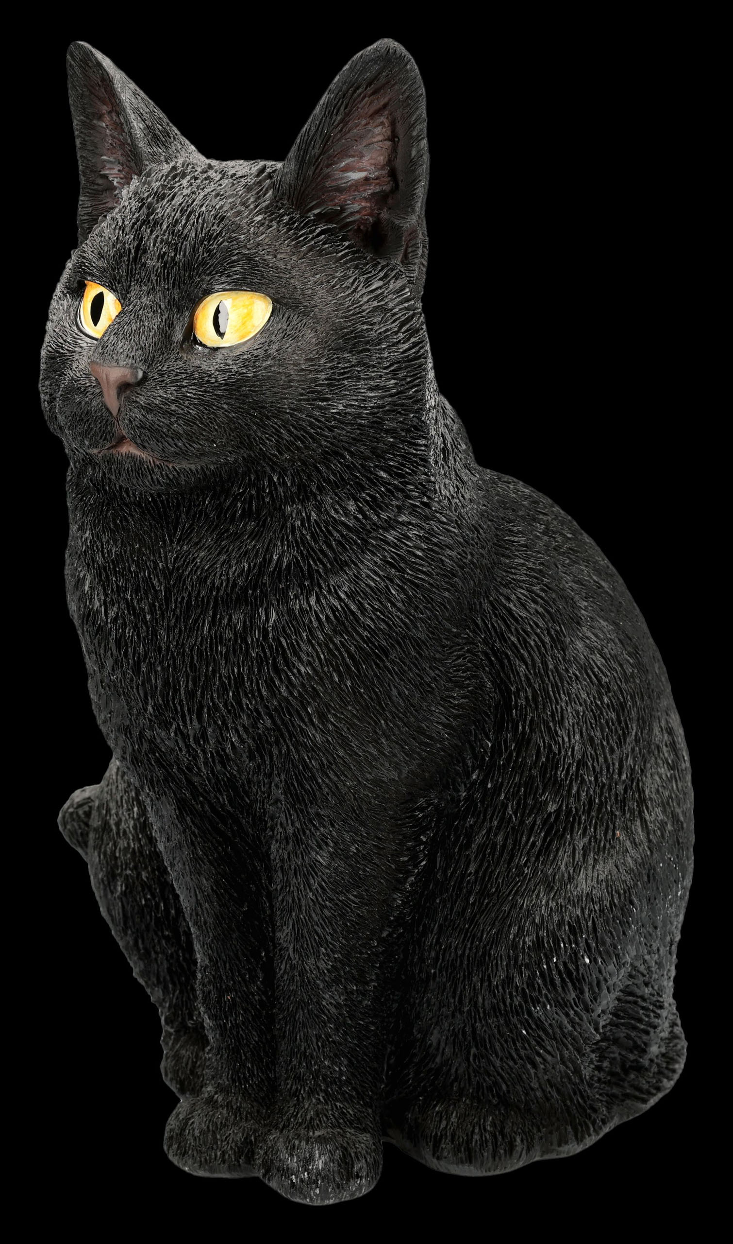 Garden Cat ✓ Black Cat Shadow