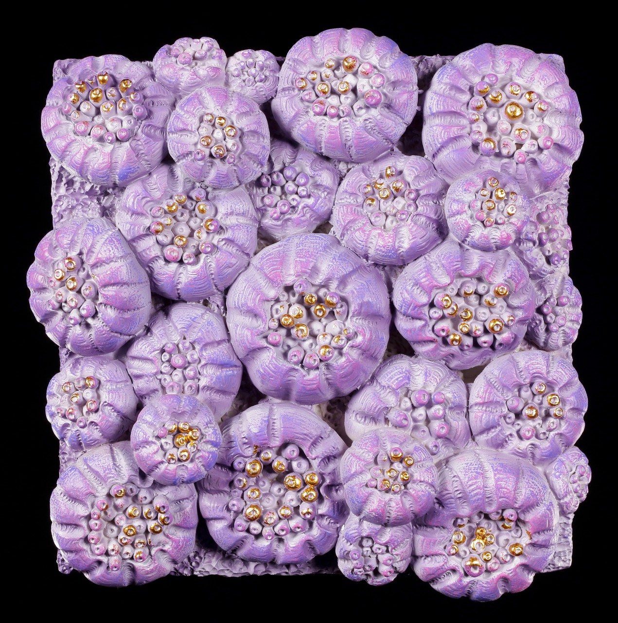Wall Plaque Marine Life - Purple Sun Coral - small