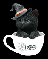 Schwarze Hexen-Katze in Tasse