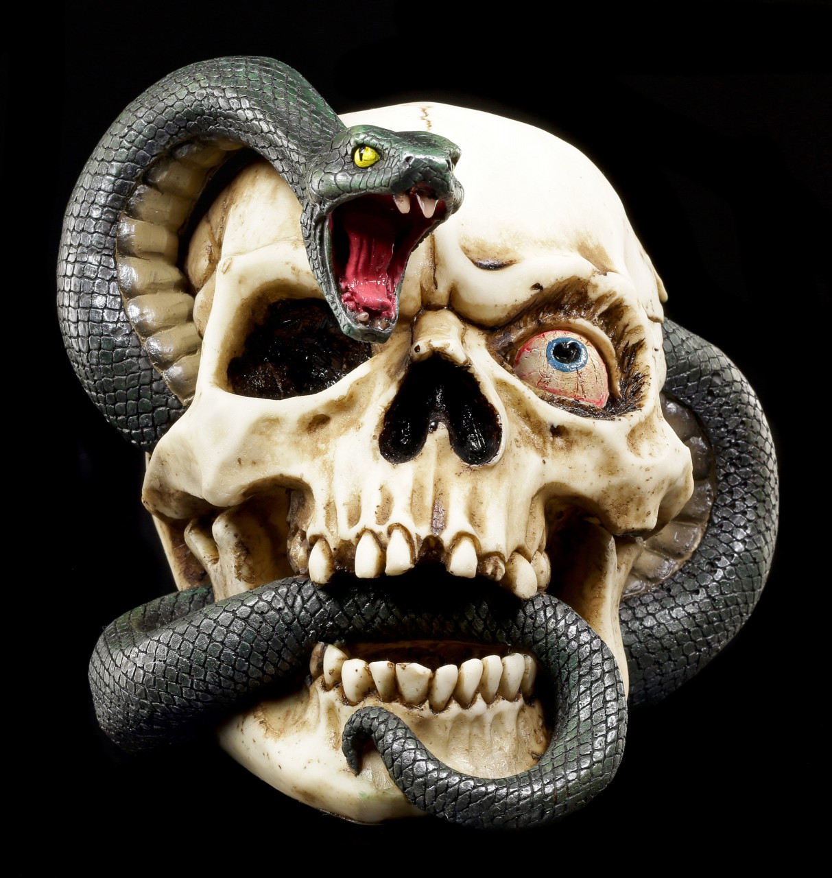 Skull - Snake Head