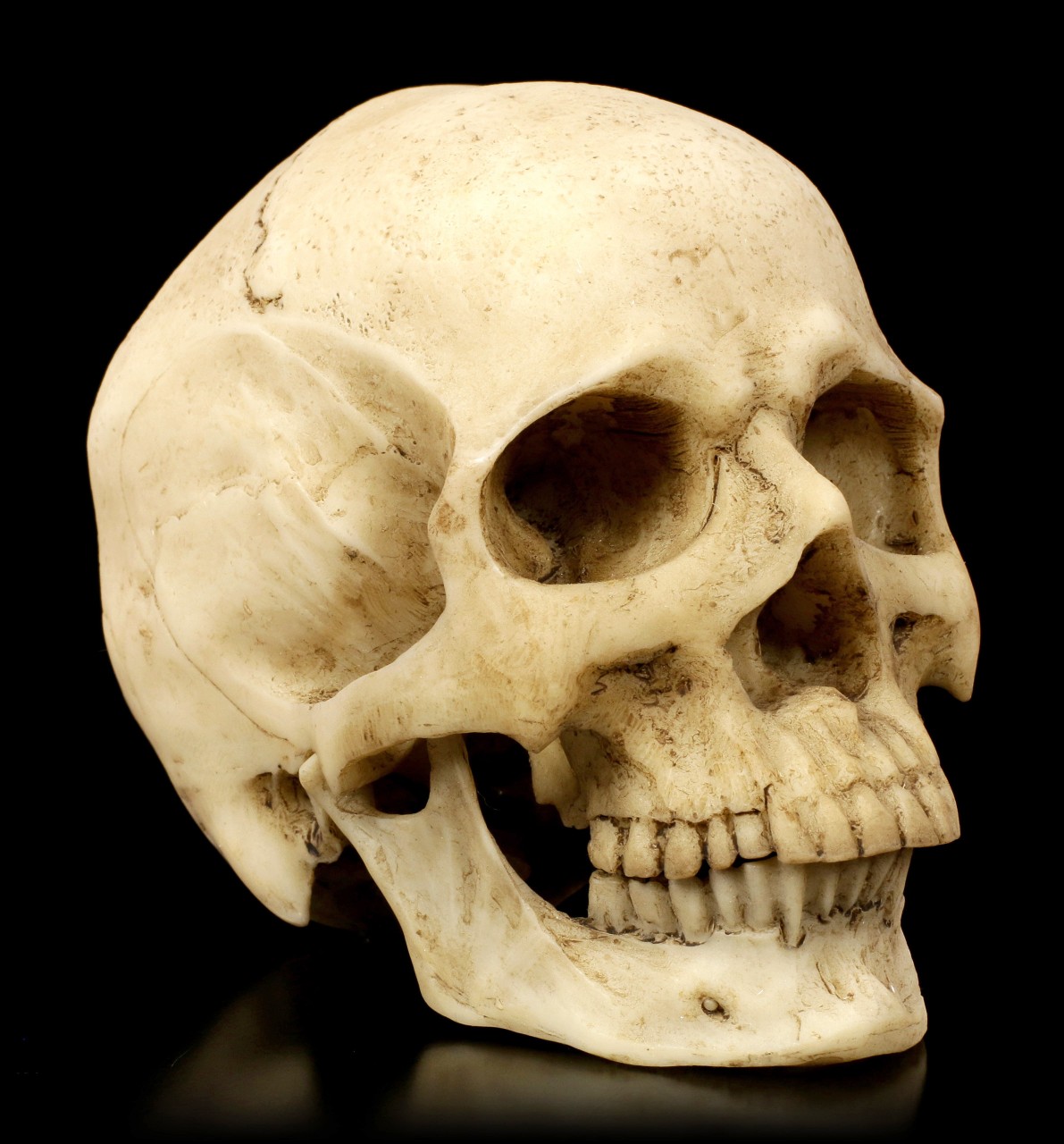 Kleiner Totenkopf mit Unterkiefer - Skull Head