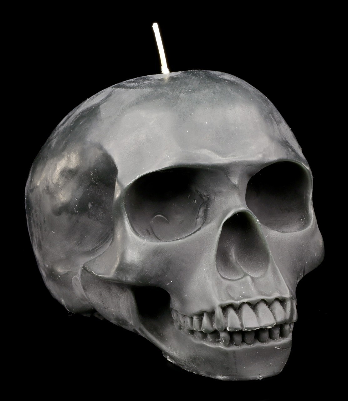 Skull Candle Large - Black with Mandible