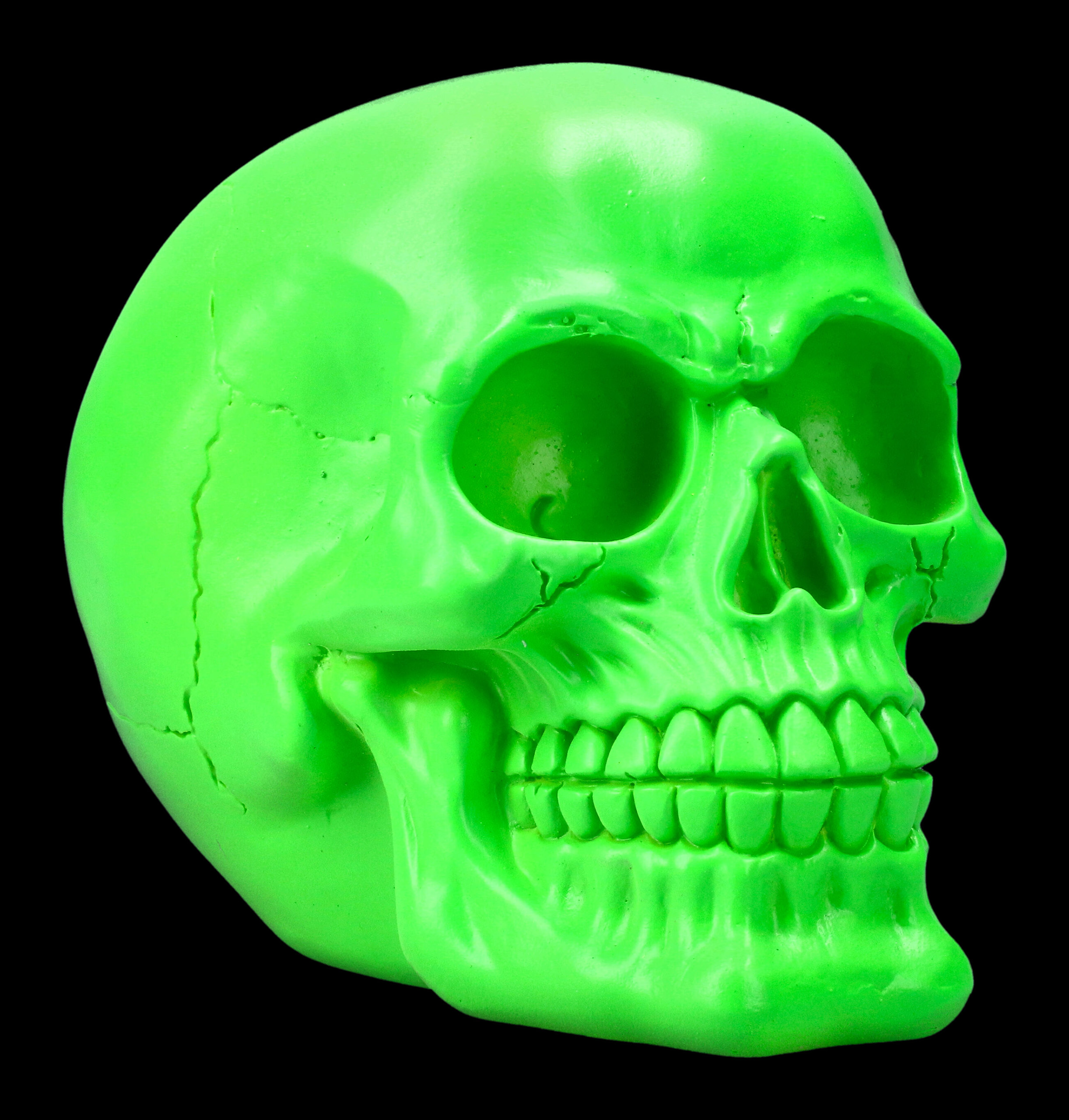 Decorative Resin Skull Neon Green Skull with Neon Pink Flower