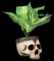 Totenkopf Schale oder Blumentopf - Königlicher Schädel