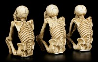 Skeleton Shelf Sitter - Set of 3