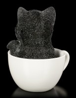 Black Kitty in Cup
