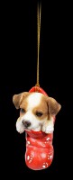 Christbaumschmuck Hund - Jack Russel im Strumpf