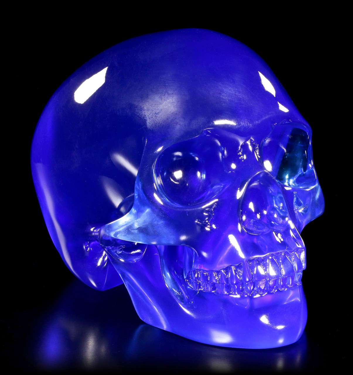 Blue Translucent Skull