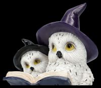 Owl Figurine - Magical Goodnight Story