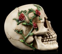 Skull - Rose From Beyond