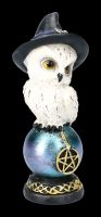 Witches Owl Figurines Set of 2