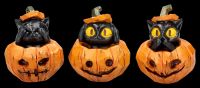 Katzenfiguren im Kürbis - Drei weise Katzen 3er Set