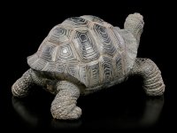 Land-Schildkröten Figur - klein